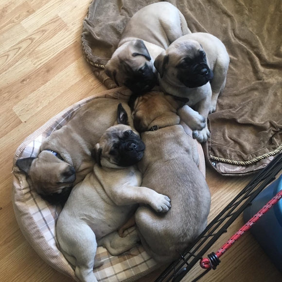 Meet your Posher, Cheryl - Picture 1 of 1